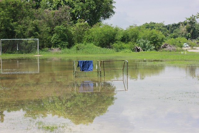 哈登爆砍55分刷新队史纪录 快船客场擒黄蜂终结三连败
